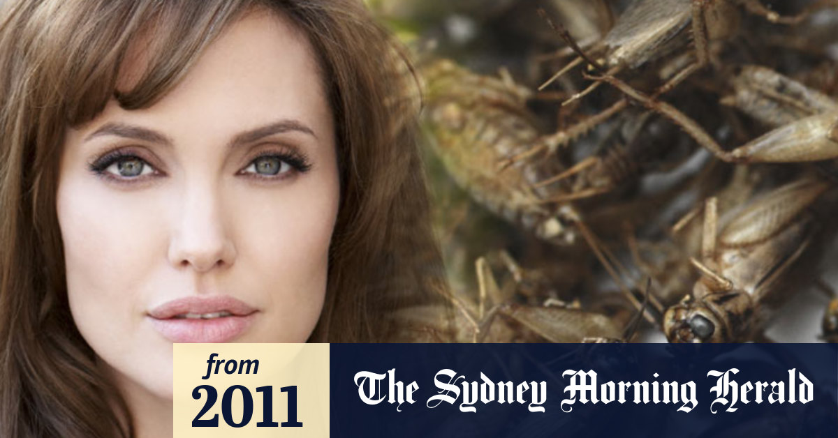 Video Angelina Jolie My kids eat crickets